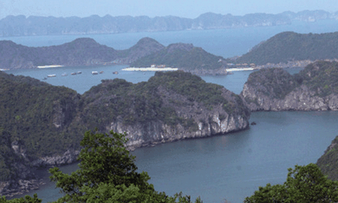 Cát Bà - lung linh trầm tích