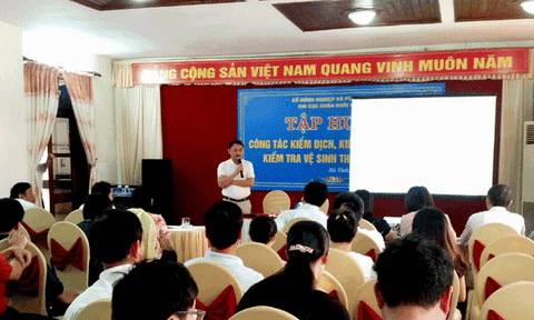 Hà Tĩnh: Tập huấn công tác kiểm dịch, kiểm soát giết mổ, kiểm tra vệ sinh thú y và cấp thẻ kiểm dịch