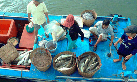 Đảo nhỏ “cất cánh” giữa trùng khơi  