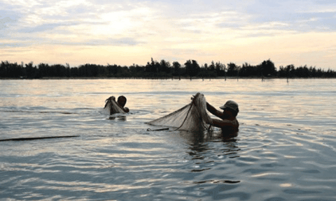 Độc nhất vô nhị nghề đi tủ của ngư dân làng Chuồn