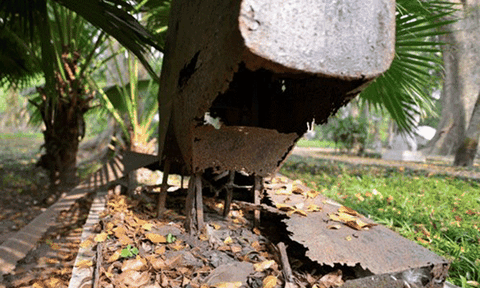 Điêu khắc tượng vườn: Ngổn ngang trăm mối