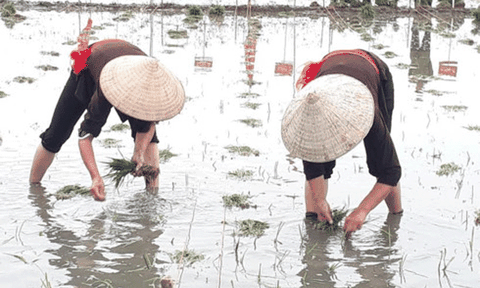 Đặc sắc lễ hội xuống đồng của cư dân vùng Hà Nam