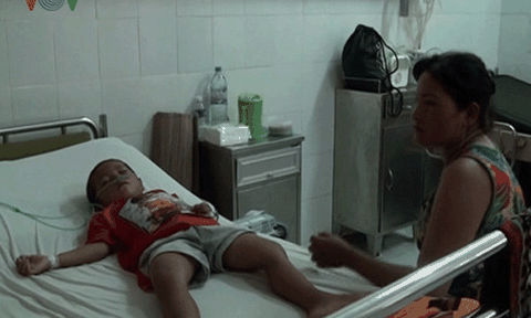 Bé trai 6 tuổi suýt chết vì bị bạch tuộc cắn