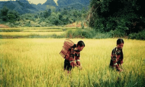 Những nét độc đáo của người Vân Kiều