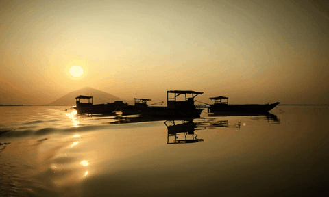 Đảo Nhím: Hòn ngọc quý giữa hồ Dầu Tiếng