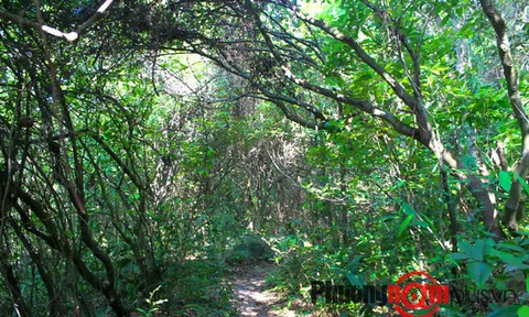 Ghềnh Nam Ô -  TP. Đà Nẵng: Nhiều bí ẩn ít người biết tới