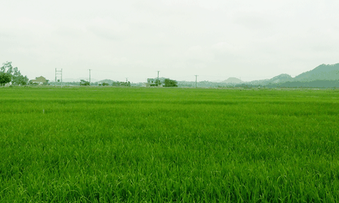 Đức Thành thực hiện đồng bộ các giải pháp phát triển kinh tế - xã hội