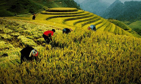 Tôn vinh giá trị di sản thiên nhiên qua ảnh