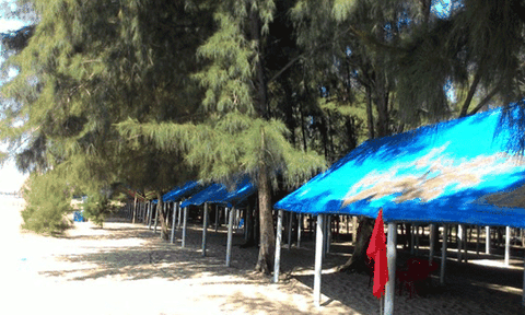 Bình Thuận: Khó hiểu về cách đền bù ở xã Tân Phước