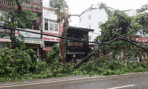 Nghệ An, Hà Tĩnh tiêu điều sau mưa bão