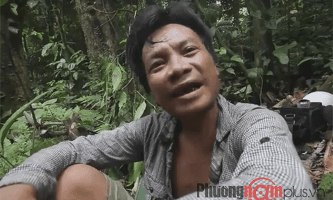 Lặn lội rừng sâu săn nấm quý