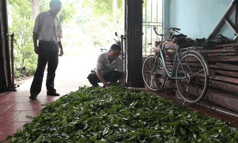 Hà Giang- Khi người lính trở về…