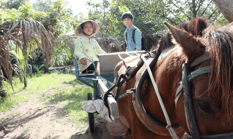 Những bóng hồng xinh đẹp sau chiếc dây cương ở miền Tây