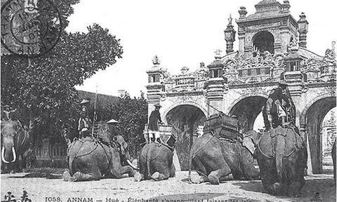 Lê Quang Đinh – Bậc khai quốc công thần nhà Nguyễn