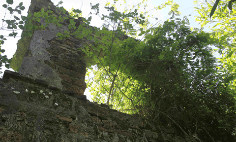 Đình làng cổ nhất Quảng Ngãi đang biến mất