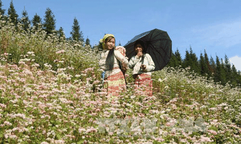 Hà Giang phát huy bản sắc văn hóa đồng bào dân tộc thiểu số