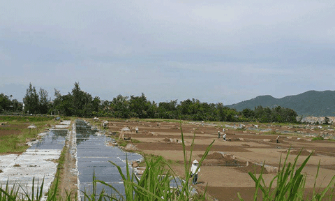 Hà Tĩnh: Người dân làm muối kêu trời vì nước biển bị ngọt hóa