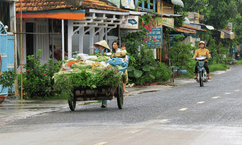 Đặc sắc những người “đẩy chợ” ở miền Tây