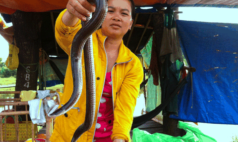 “Đặc sản” vùng ngoại ô