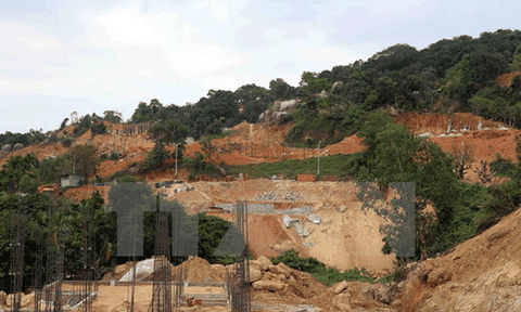 Đà Nẵng báo cáo rà soát các dự án liên quan đến quy hoạch Sơn Trà