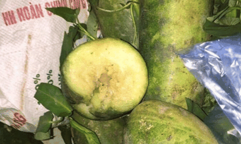 Vụ tuồn rau hư hỏng, ôi, thối vào Trường tiểu học Lý Nhân: UBND huyện chỉ đạo làm rõ