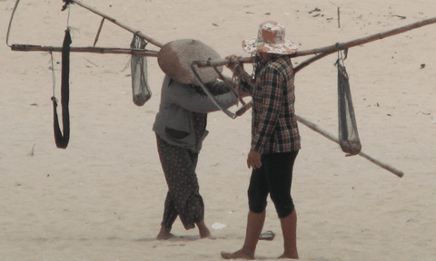 Ngụp lặn đời nghêu theo con nước vơi đầy