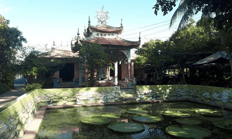Khám phá “chùa Sen Vua” miền Tây mùa nước nổi