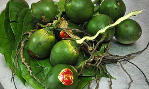 Trầu cau, nét văn hóa độc đáo của dân tộc Việt Nam