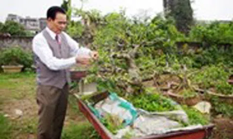 Hơi ấm trả cho đời