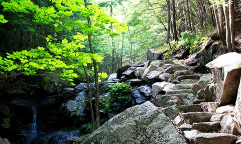 Đi tìm Nghi Xuân bát cảnh: Uyên Trừng danh tự - Quần mộc bình sa (Kỳ 2)