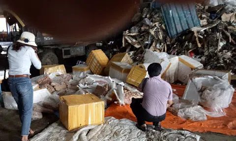 Hà Tĩnh: Tiêu hủy hơn 22 tấn nội tạng động vật không rõ nguồn gốc