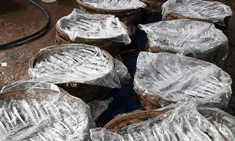 Phát hiện thêm một cơ sở hấp cá bằng hóa chất lạ