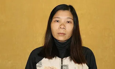 Thi hành lệnh bắt khẩn cấp đối tượng hoạt động nhằm lật đổ chính quyền nhân dân