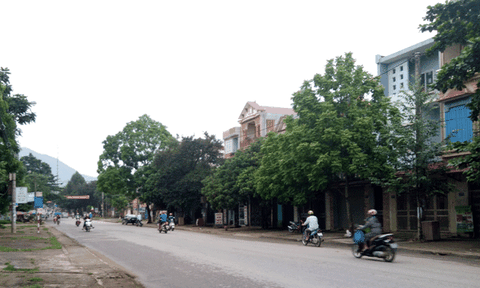 Thị trấn Thường Xuân: Không ngừng phát huy nội lực để đẩy nhanh tốc độ tăng trưởng