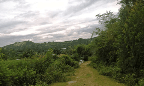 Xử lý nghiêm những người có hành vi vi phạm pháp luật ở xã Bồ Lý