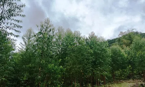 Vĩnh Phúc: "Đau đầu" việc quy hoạch xây dựng nghĩa trang - cần sự "hiến kế" đúng