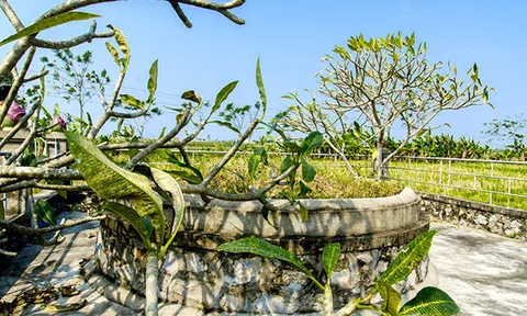 Câu chuyện kỳ lạ về bà Quận Chúa hoang đàng