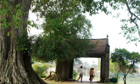 Bảo tồn, phát huy giá trị di sản văn hóa Việt Nam