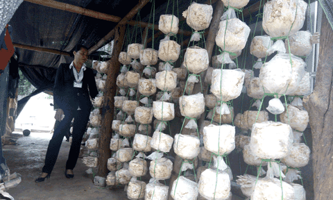 Phong trào hoạt động của Hội LHPN xã Nghĩa Thắng