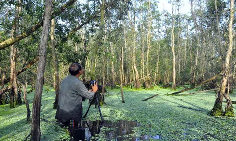 Đắm mình trong thế giới chim muông hoang dã Tam Nông