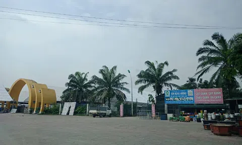 Công viên Trung tâm TP Vinh: Hư hỏng, nhếch nhác 