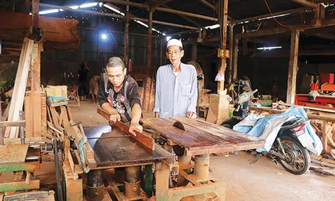 Hỗ trợ phát triển kinh tế đồng bào Chăm