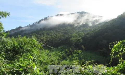 Tiềm năng du lịch sinh thái Vườn quốc gia Phước Bình