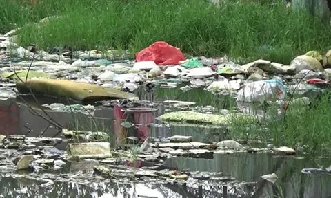 Báo động ô nhiễm nghiêm trọng trên tuyến kênh Cầu Xáng