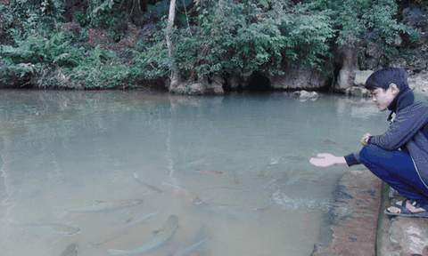 Cẩm Liên: Phát huy tiềm năng du lịch từ Mó Cá