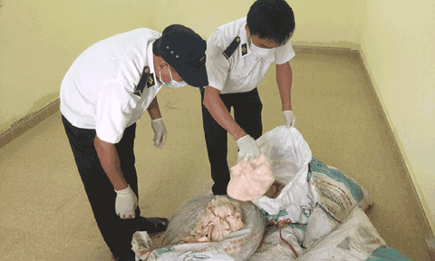 Ghi nhận tại Trạm Chăn nuôi và thú y huyện Diễn Châu