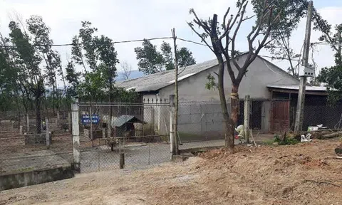 Nguyên Chủ tịch UBND xã xây nhà trái phép trên đất Lâm nghiệp?