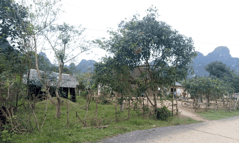 Xuân Hóa: Nỗ lực vượt khó trong phát triển kinh tế - xã hội