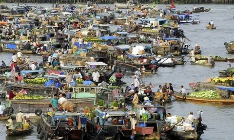 "Năm Căn đi dễ khó về, trai đi có vợ, gái về có con"