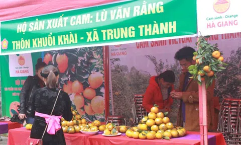 Hà Giang: Hội thi sản phẩm cam sành huyện Vị Xuyên